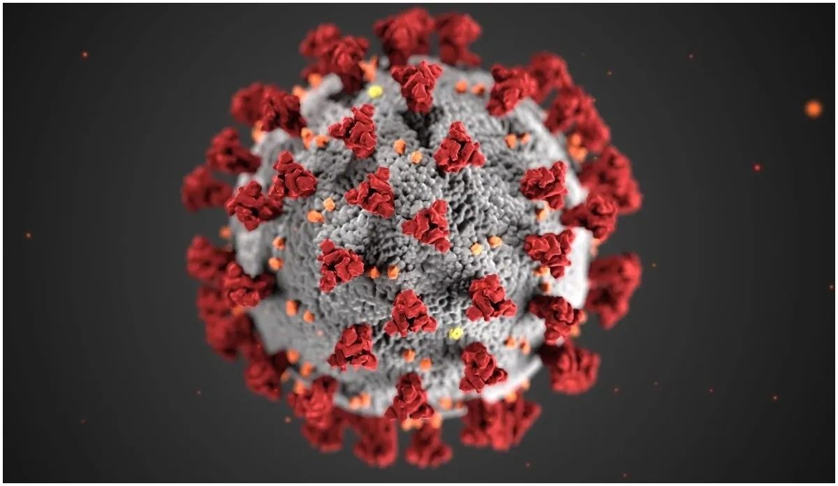 Coronavirus LIVE: 'ब्लैक फंगस जितना खतरनाक नहीं है व्हाइट फंगस' Coronavirus live updates in hindi white fungus black fungus covid19 third wave vaccination- India TV Hindi
