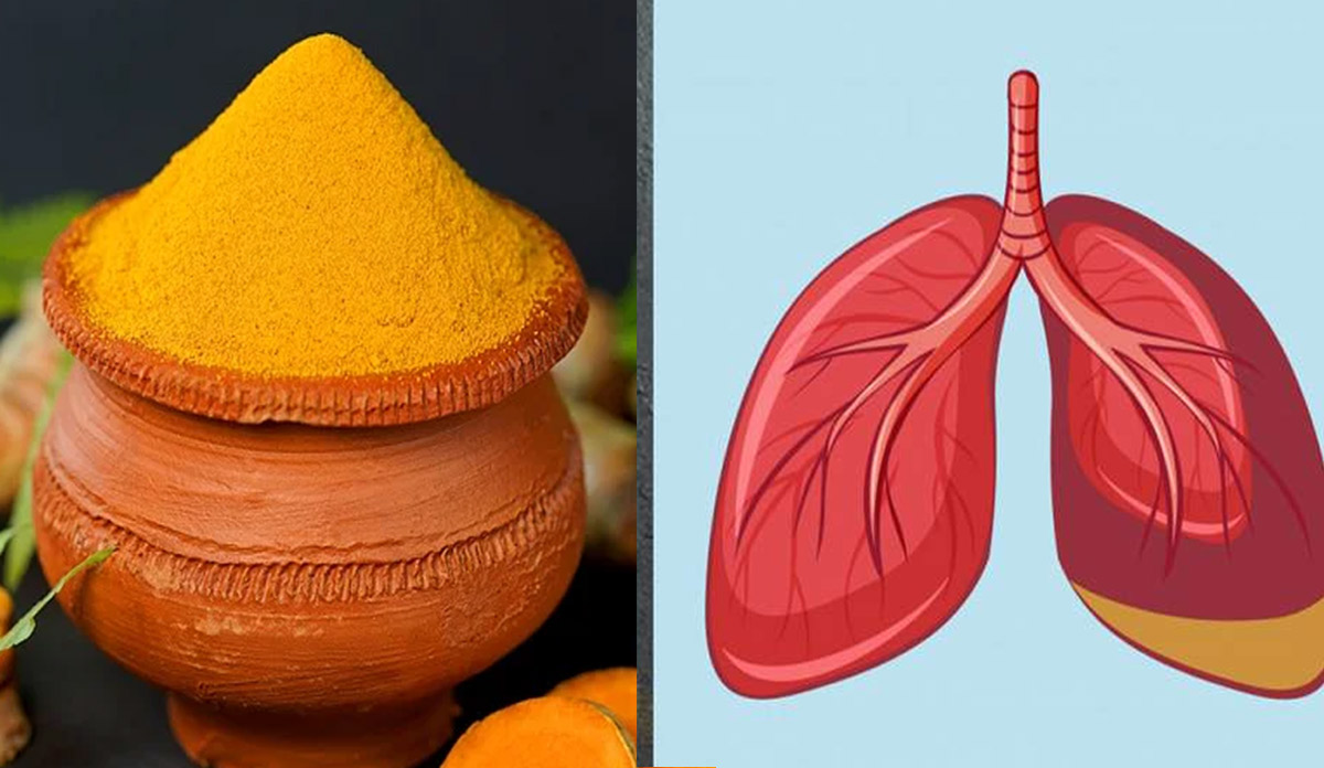 Haldi for lung know how to use turmeric onion garlic ukliptic leaves to