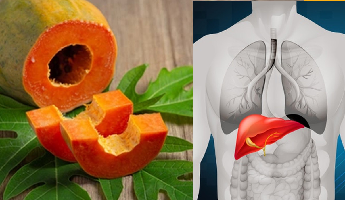 Papaya leaf for liver know how to consume papaya makoy bhumi amla