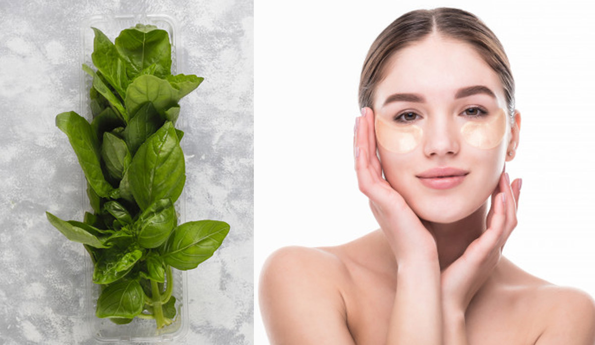 Skincare tips in hindi basil anti ageing face pack know to use tulsi
