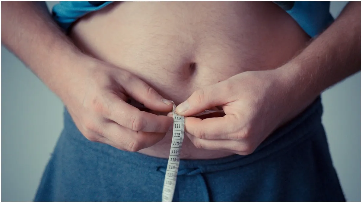 Weight Loss: कैसे कम करें पेट की जिद्दी चर्बी? इन 3 बातों का ध्यान रखकर घटा सकते हैं बेली फैट belly fat- India TV Hindi