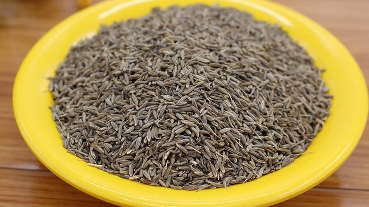 Cumin for weight loss drink daily cumin or jeera tea and water to lose