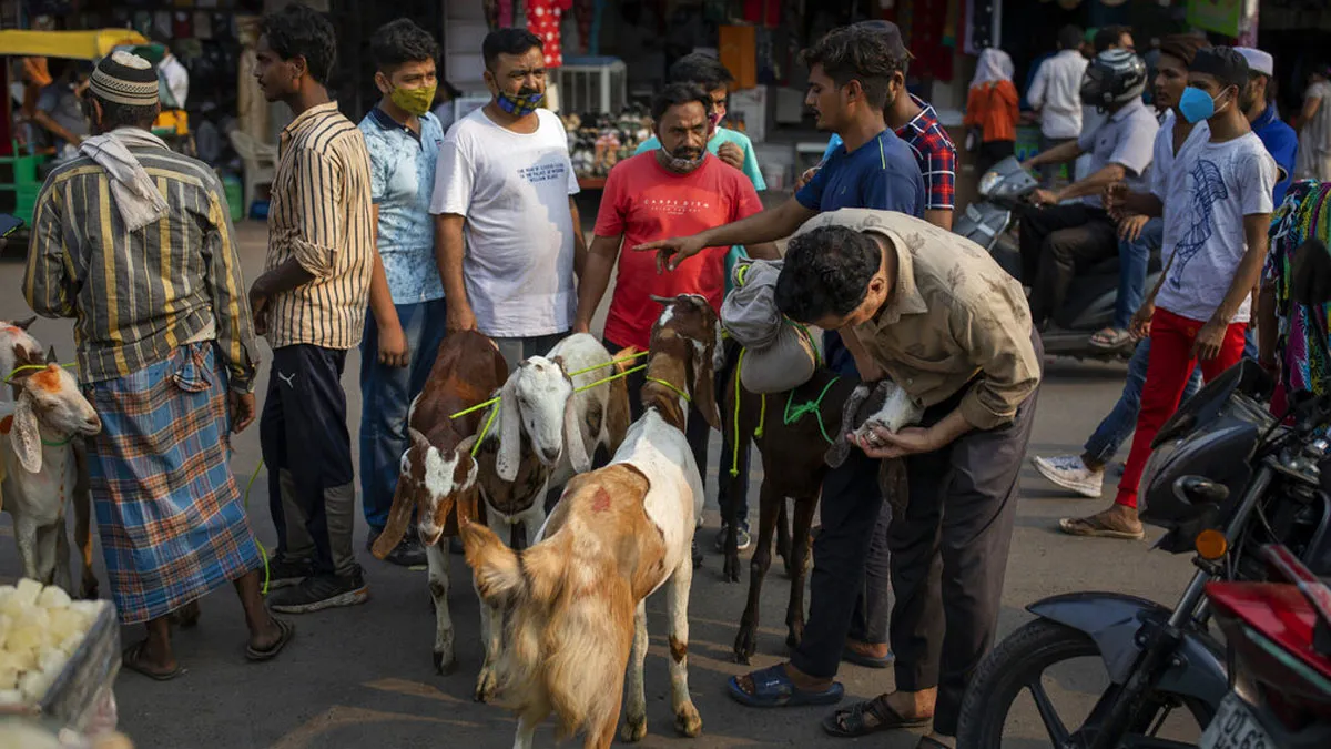 केरल में आए कोरोना के 16,148 नए मामले, बकरीद के कारण कई पाबंदियों से छूट Kerala Covid Restrictions, Kerala Covid Restrictions Bakrid, Kerala Covid Restrictions Relaxations- India TV Hindi