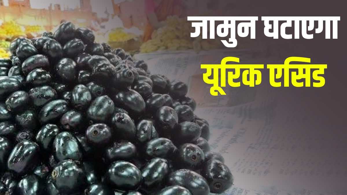 Jamun for uric acid know how to use jamun or Java Plum to control high