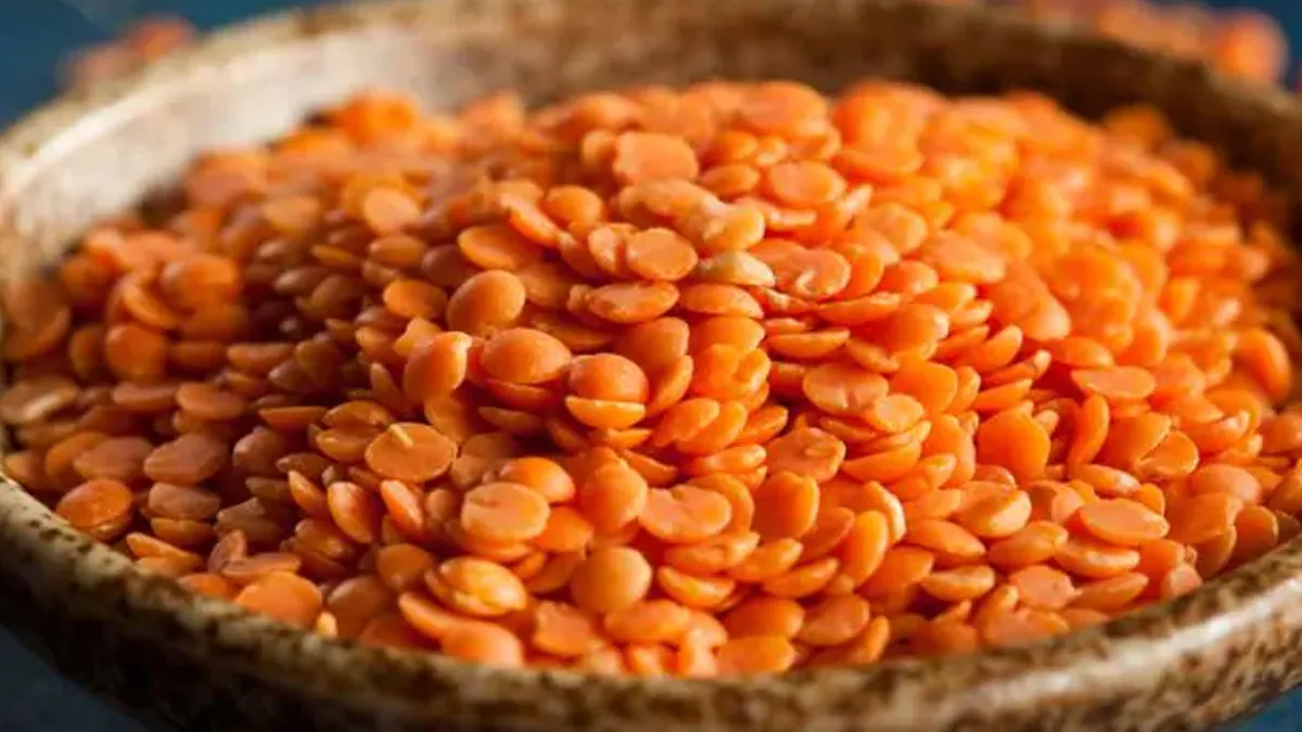 खुदरा कीमतों को कम करने के लिए सरकार ने मसूर दाल पर मूल सीमा शुल्क समाप्त किया खुदरा कीमतों को कम करने के लिए सरकार ने मसूर दाल पर मूल सीमा शुल्क समाप्त किया- India TV Paisa