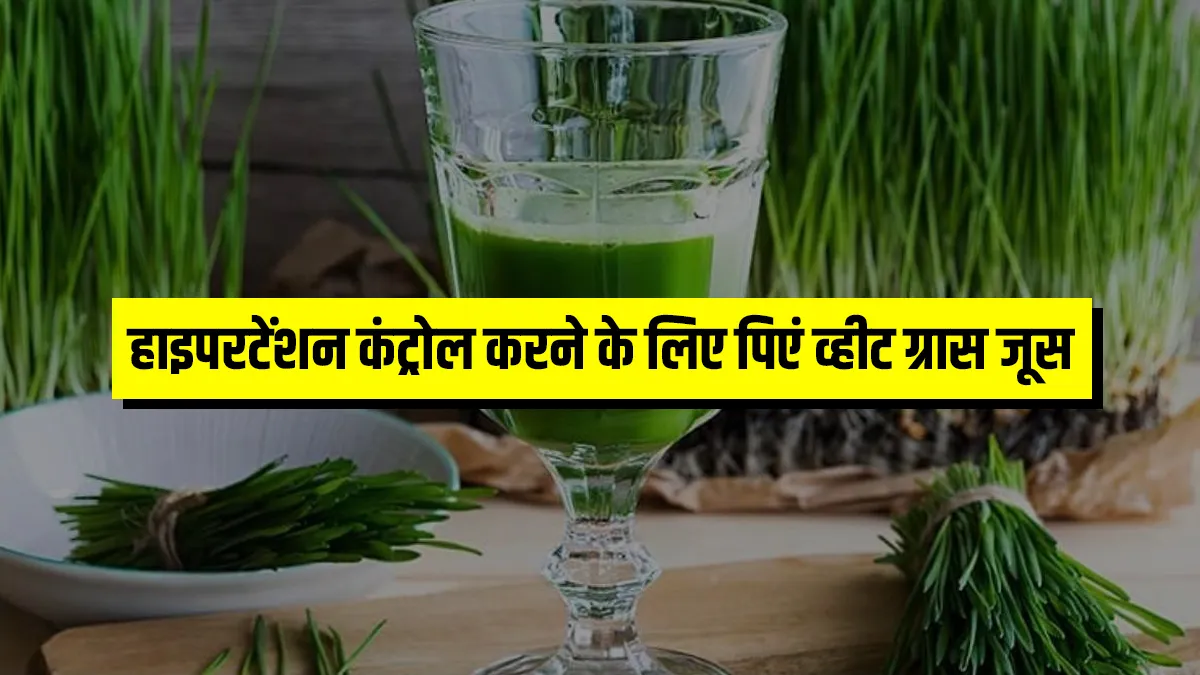 हाइपरटेंशन को कंट्रोल में रखने के लिए रोजाना खाली पेट पिएं व्हीट ग्रास का जूस, ये 7 बीमारियां भी रहेंगी दूर wheat grass juice - India TV Hindi