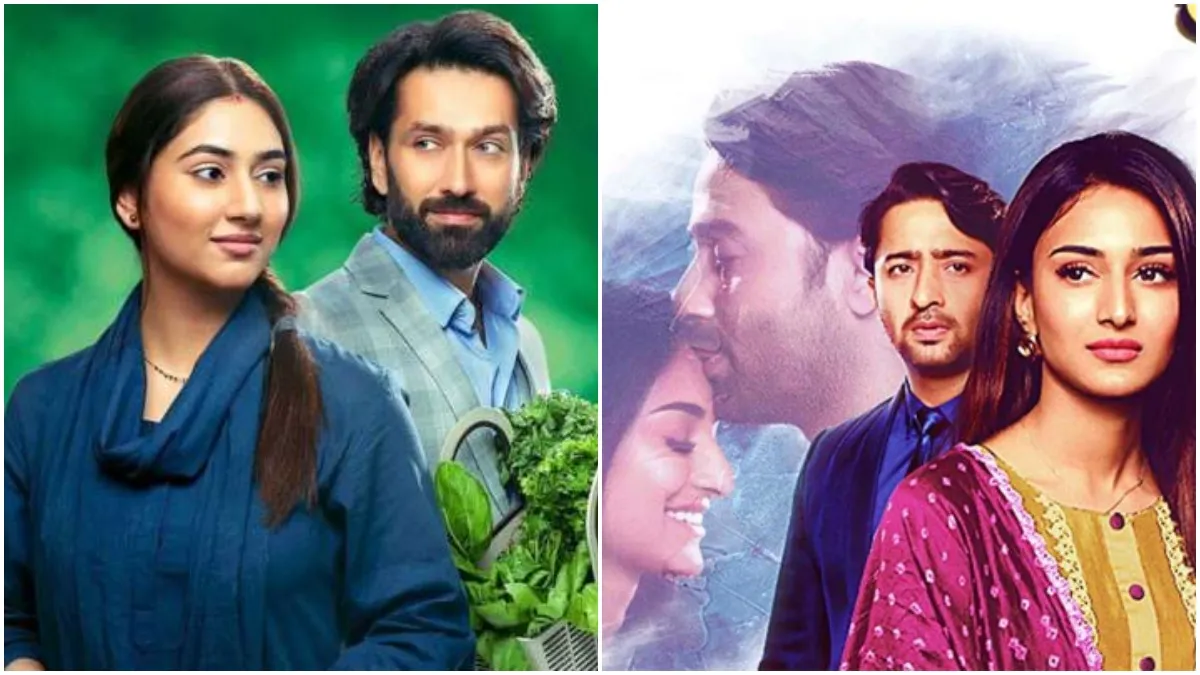 erica shaheer- India TV Hindi