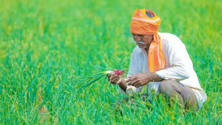 PM Kisan: 9 अगस्त को जारी होगी 9वीं किस्त, ऐसे चेक करें लिस्ट में अपना नाम PM narendra modi will release the 9th instalment of PM KISAN on 9th August- India TV Hindi