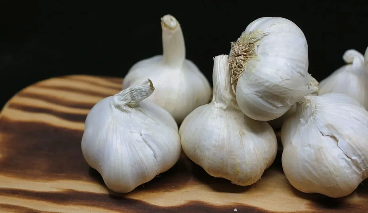 Kitchen Hacks: लहसुन स्टोर करने का शानदार तरीका, साल भर तक नहीं होगा खराब Kitchen Hacks: लहसुन स्टोर करने का शानदार तरीका, साल भर तक नहीं होगा खराब- India TV Hindi