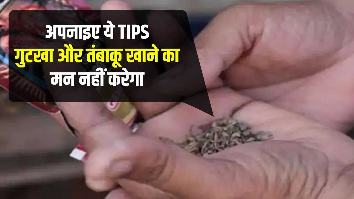 effective Home Remedies of Leaving gutkha and tambakhu cigarette in Hindi  -गुटखा या सिगरेट की लत छोड़ना चाहते हैं? इन घरेलू टिप्स को आजमा कर देखिए