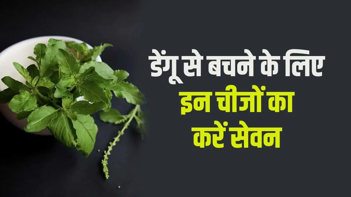Health tips:डेंगू से बचने के लिए इन 10 चीजों का करें सेवन, जानिए घरेलू उपाय डेंगू - India TV Hindi