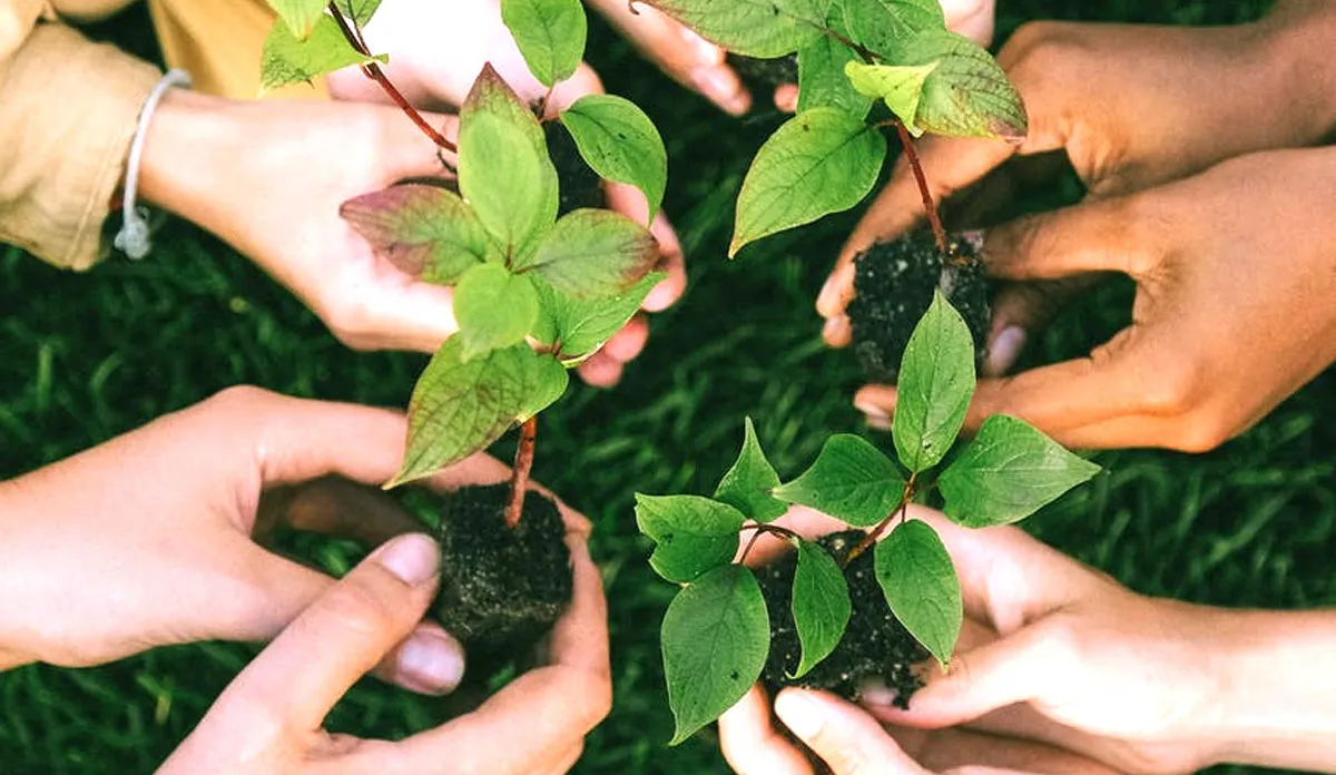 World Environmental Health Day: सेहत के साथ प्रकृति का भी रखें ख्याल, स्वामी रामदेव से जानिए कारगर उपाय World Environmental Health Day 2021 swami ramdev shares yoga and ayurvedic tips for health - India TV Hindi