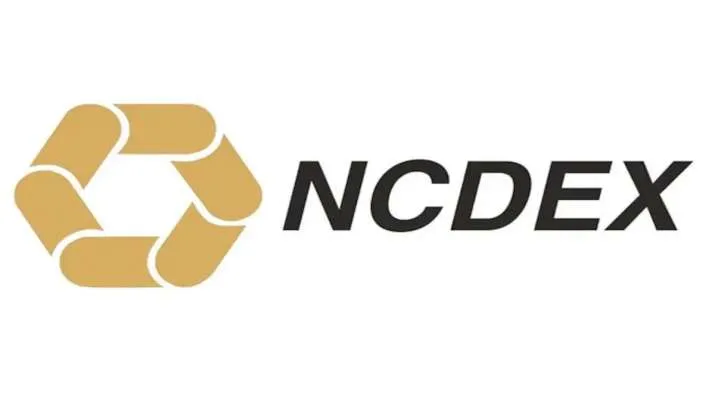 NCDEX ने निवेशकों को ऊंचे रिटर्न का ऑफर करने वाले ट्रेडिंग प्लेटफॉर्म के बारे में सावधान किया <p>एनसीडीईएक्स ने...- India TV Paisa