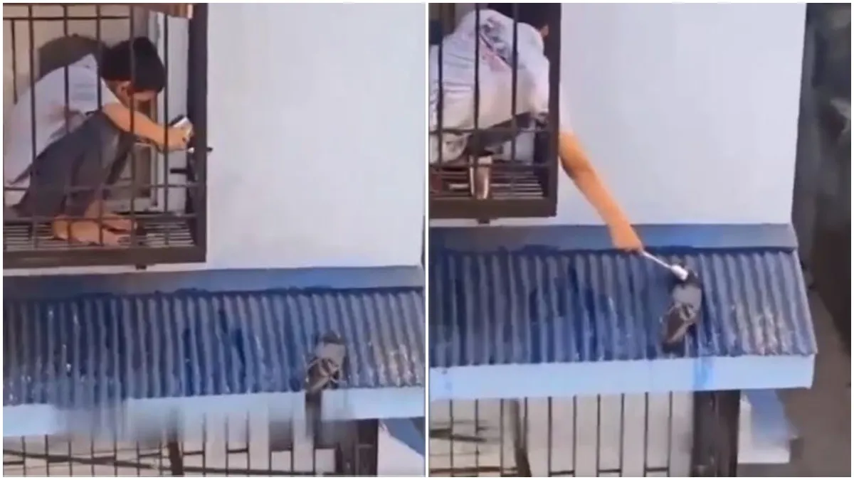 Viral: प्यासे कबूतर को बच्चे ने अनोखे अंदाज में पिलाया पानी, वीडियो ने जीता लोगों का दिल little boy gave water to a pigeon- India TV Hindi