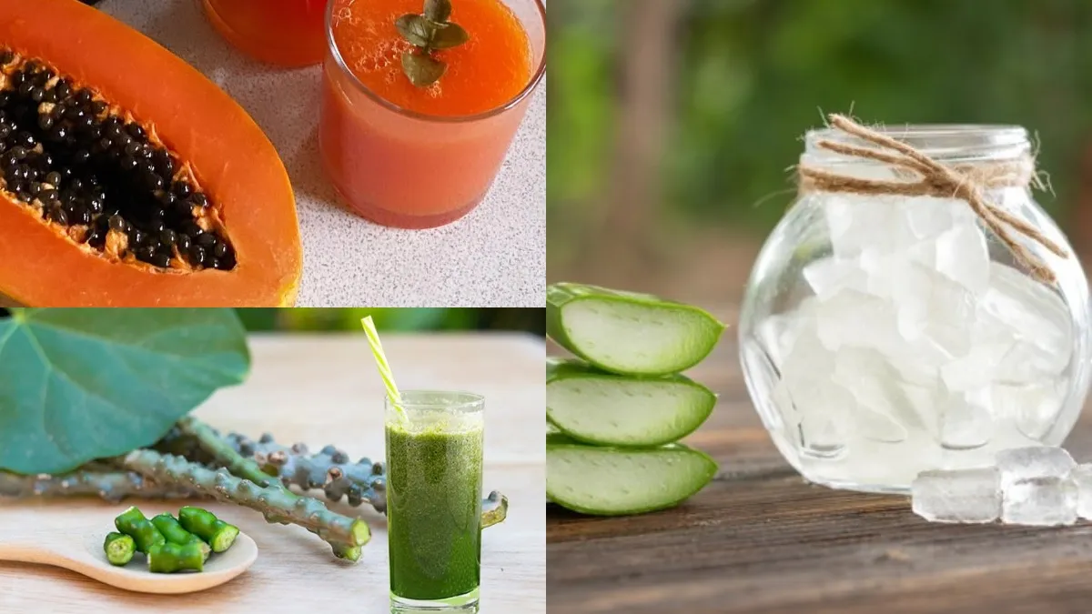 डेंगू के कारण कम हुए ब्लड प्लेटलेट्स को बढ़ाएंगे ये 3 तरह के जूस, डाइट में करें शामिल GILOY, ALEOVERA AND PAPAYA- India TV Hindi