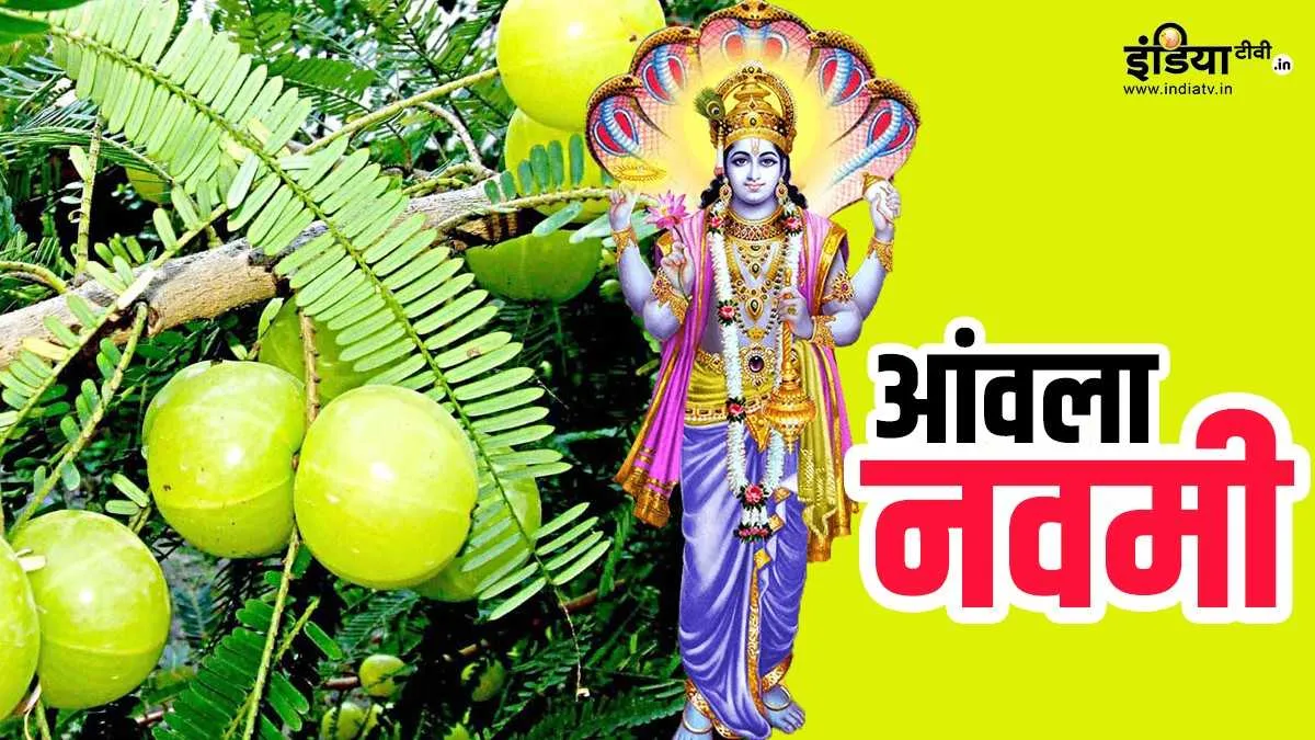 Amla Navami 2021: आज आंवला नवमी, जानिए शुभ मुहूर्त, पूजन विधि और भोग Amla Navami 2021- India TV Hindi
