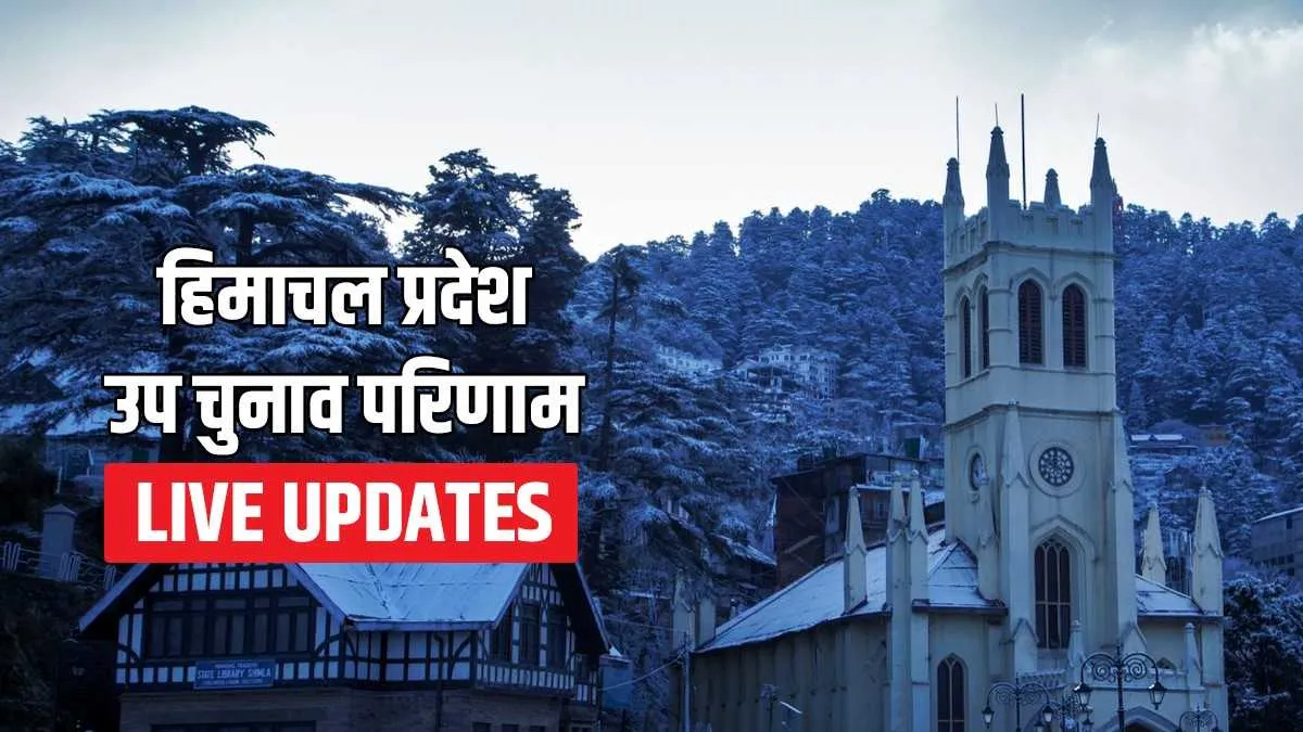 Himachal Pradesh Bye Election Results: हिमाचल में मुरझाया कमल का फूल, कांग्रेस ने दिखाई ताकत Mandi Lok Sabha Seat By Election Result Pratibha Devi Thakur Fatehpur Arki Jubbal Kotkhai Assembly S- India TV Hindi