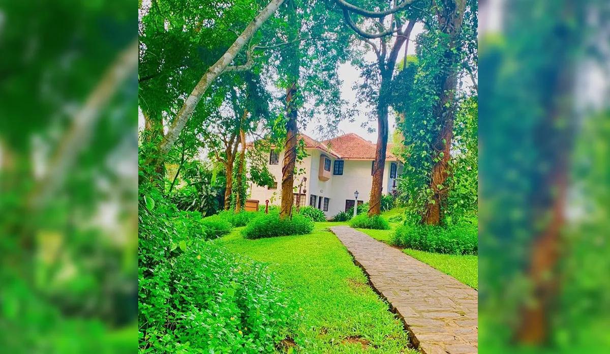 Vastu Tips: घर के पास इस दिशा में लगाएं घने पेड़, होगा शुभ know the best direction for dense trees according to vastu shastra- India TV Hindi