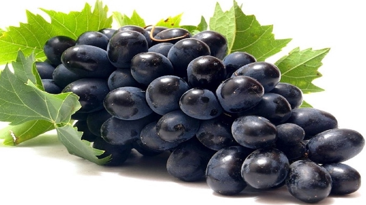 black grapes benefits for diabetes blood sugar bp kale angoor ke fayade