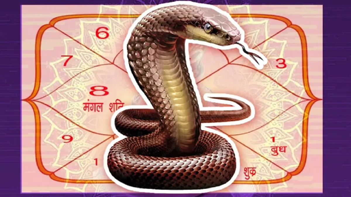 kaal sarp yoga: जीवन को कठिन बना देता है राहू केतू का ये जाल, जानिए कितने तरह के होते हैं काल सर्प योग <p>kaal sarpa yoga</p>- India TV Hindi