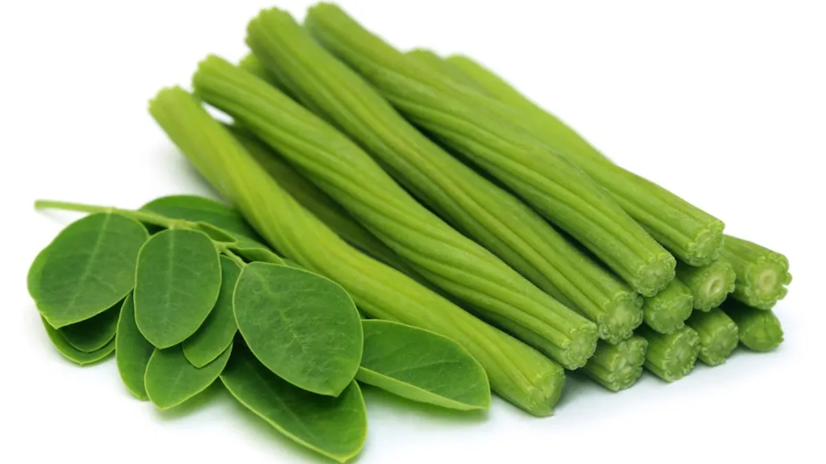 सेहत के लिए रामबाण है सहजन की पत्तियां, ब्लड शुगर से लेकर हाई ब्लड तक करता है कंट्रोल Moringa Leaves- India TV Hindi