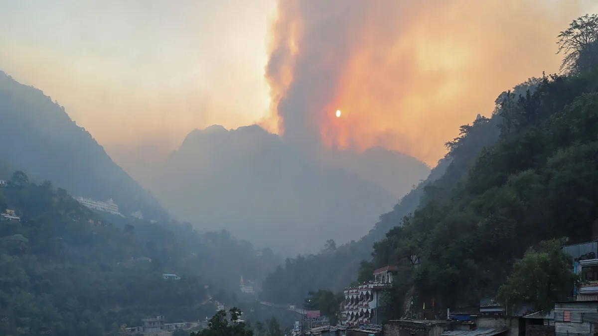 Forest Fire- India TV Hindi