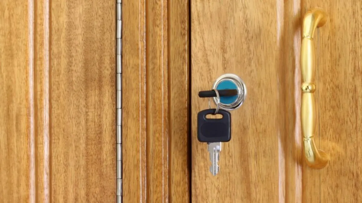 Vastu Tips: घर की तिजोरी में जरूर रखें ये चीजें, नहीं होगी धन की कमी Vastu Tips - India TV Hindi