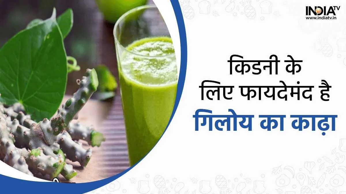 किडनी से जुड़ी बीमारियों को दूर करता है गिलोय का काढ़ा, जानिए कैसे बनाएं? Kidney Health Tips- India TV Hindi