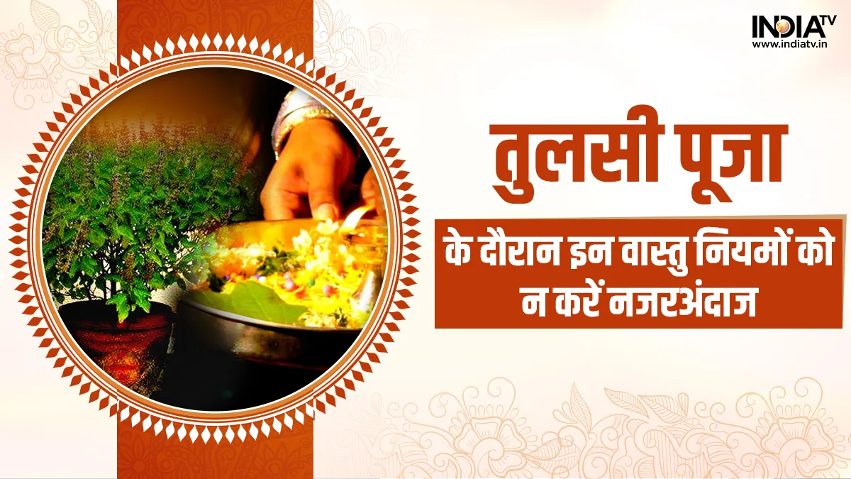 Vastu Tips: तुलसी में कच्चा दूध चढ़ाने से जाग उठता है सौभाग्य, कभी भी प्लास्टिक के गमले में न लगाएं ये पौधा Vastu Tips- India TV Hindi