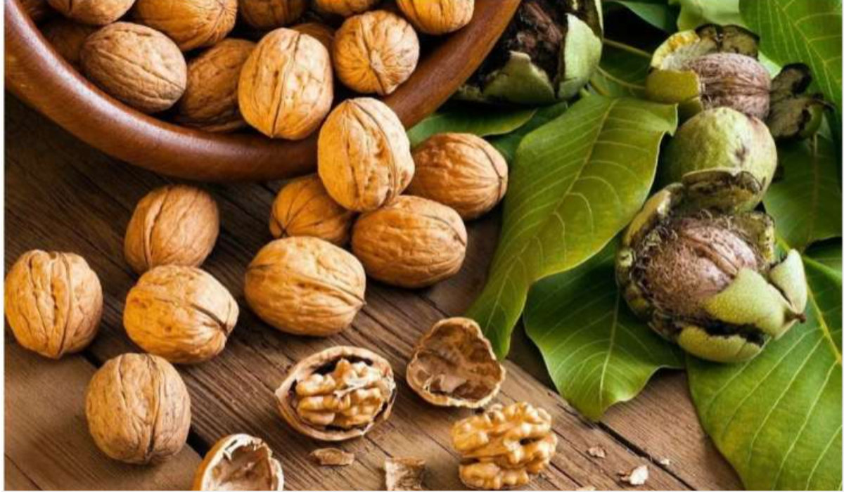 Uric Acid Walnuts Akhrot ke fayde nuksan यूरिक एसिड कंट्रोल करने में