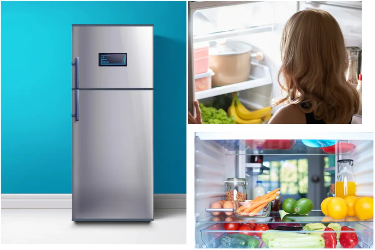 Vastu Tips: कहीं आप भी तो नहीं रखते गलत दिशा में फ्रिज, इन बातों का रखें ध्यान freepik- India TV Hindi