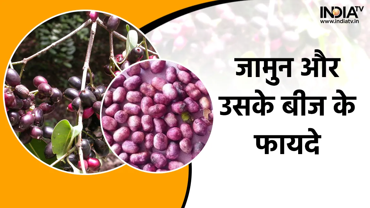 जामुन और उसके बीज में हैं इतने गुण कि गिनते रह जाएंगे आप, जानिए क्या कहते हैं एक्सपर्ट जामुन और जामुन के बीज के फायदे- India TV Hindi