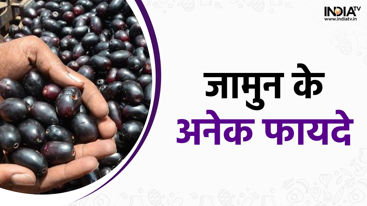 essay on jamun in hindi