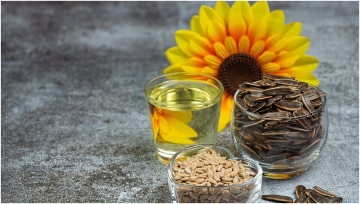 Cholesterol Reduce bad cholesterol with sunflower seeds, know how to