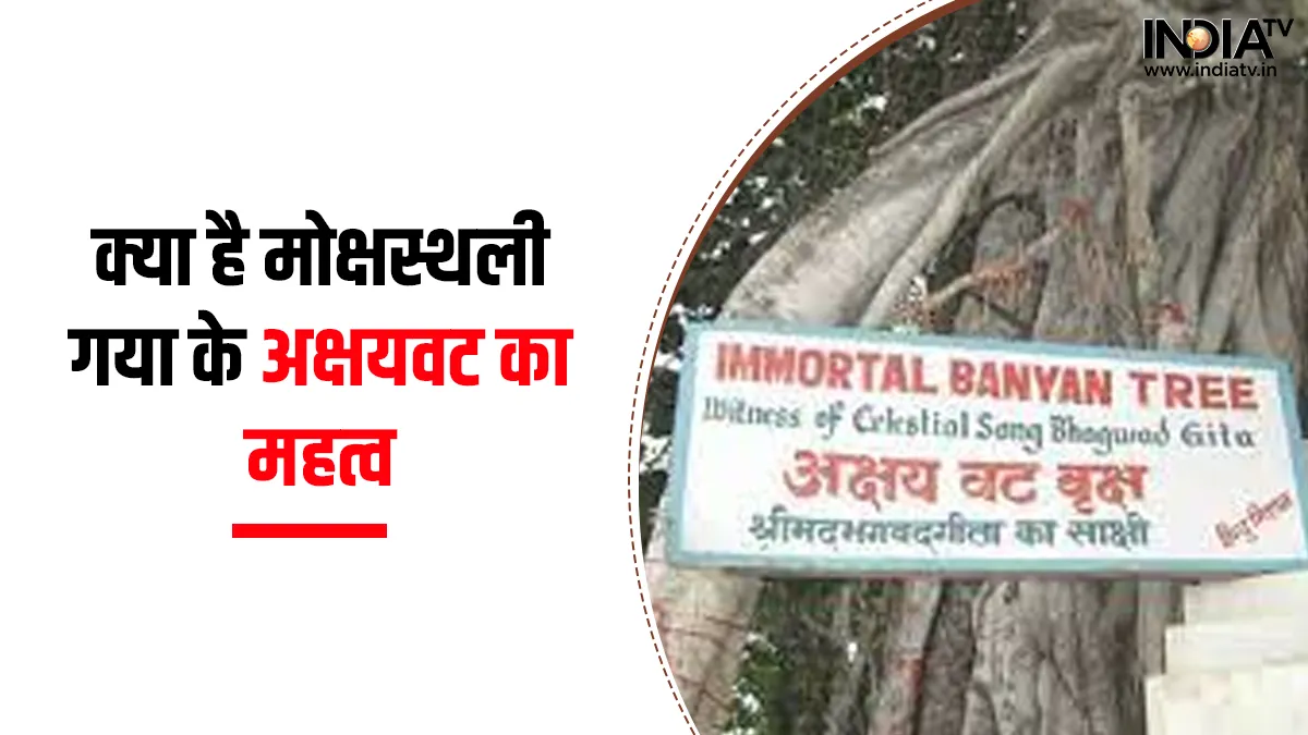 Mokshasthali Gaya: 'मोक्षस्थली' गया के अक्षयवट में सुफल के बाद ही सफल माना जाता है श्राद्धकर्म AkshayVat- India TV Hindi