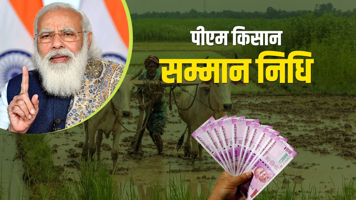 PM Kisan Samman Nidhi minimum land requirment to get 6000 rupees annually under scheme PM Kisan Samman Nidhi: कम से कम इतनी जमीन हो तभी मिलेंगे किसान सम्मान निधि के 6000 रुपए -