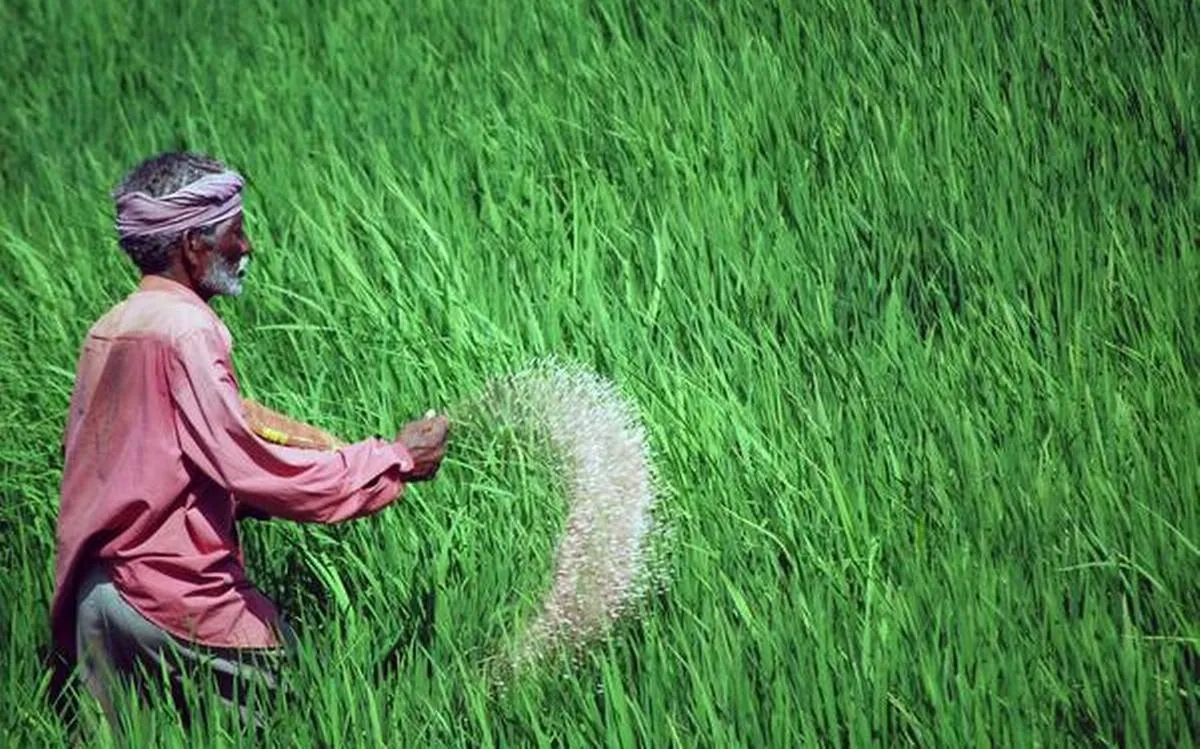 देशभर के किसानों के लिए अच्छी खबर, इस कारण DAP और एनपीके खाद के दाम हो सकते हैं कम Farmers - India TV Paisa