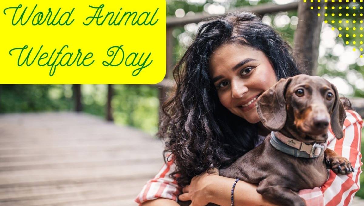 World animal welfare day 2022 pet animal improve your health remove