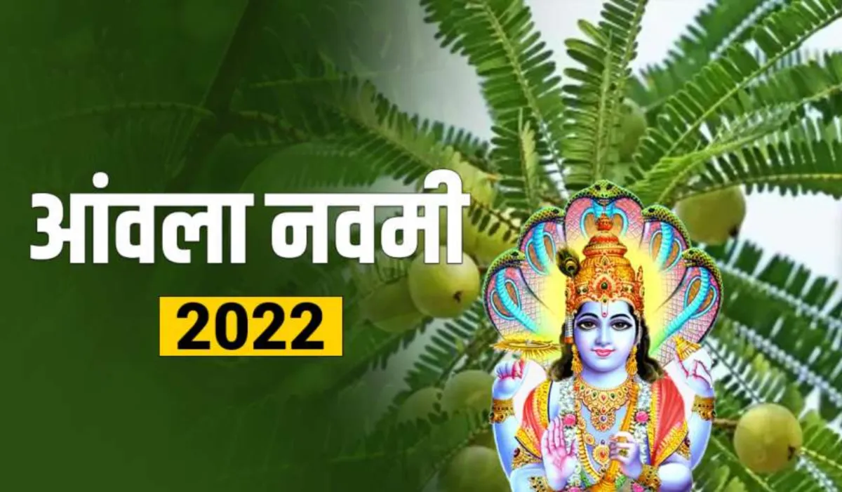 Akshay Navami Upay: अक्षय नवमी के दिन आंवले का ये उपाय शादी में आ रही रुकावटों को करेगा खत्म, घर में बढ़ेगी धन-संपदा Akshay Navami Upay- India TV Hindi