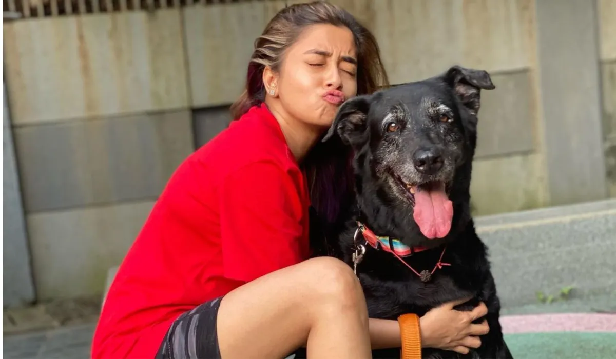 Bigg Boss 16: बिग बॉस के घर में पेट डॉग की मौत की खबर सुन कर रोने लगी टीना दत्ता Tina Datta- India TV Hindi