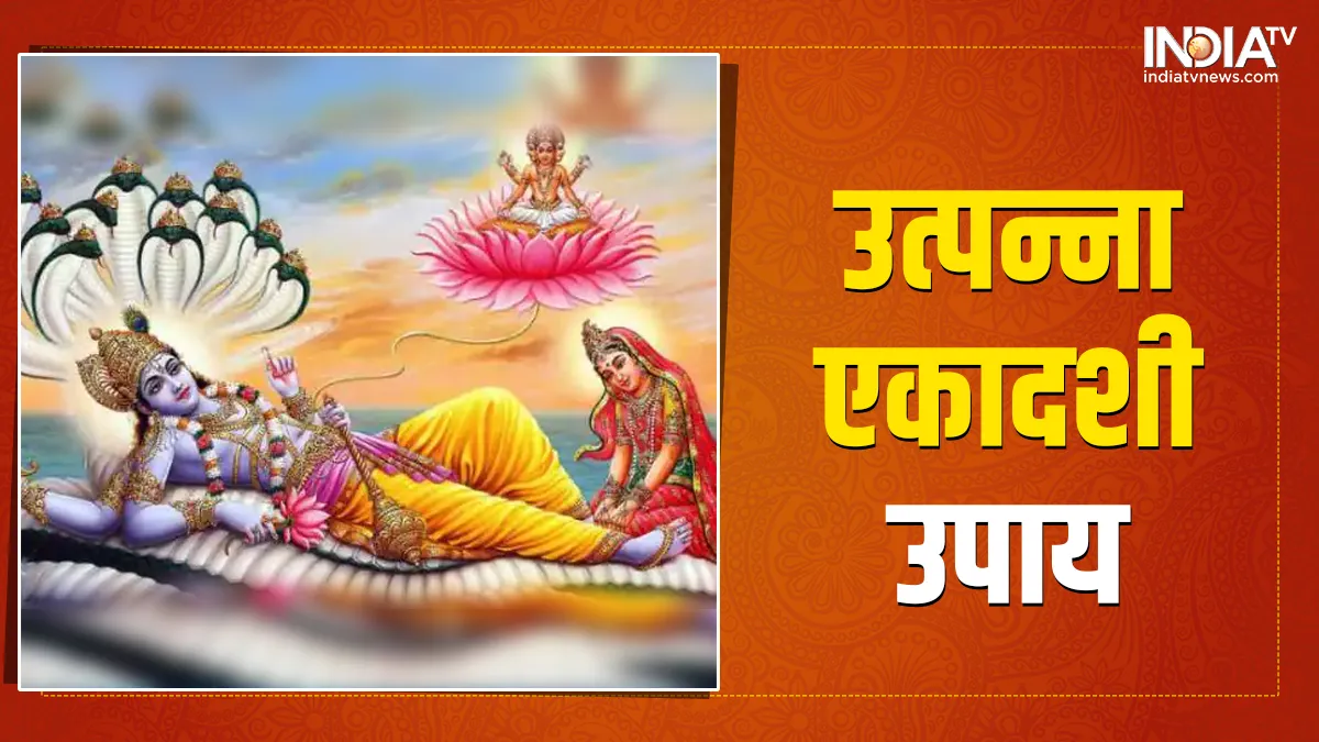 Utpanna Ekadashi Upay: उत्पन्ना एकादशी पर तुलसी से जुड़ा ये उपाय करने पर वैवाहिक जीवन में घुलेगी मिठास, साथ ही सभी समस्याएं होंगी दूर उत्पन्ना एकादशी उपाय - India TV Hindi