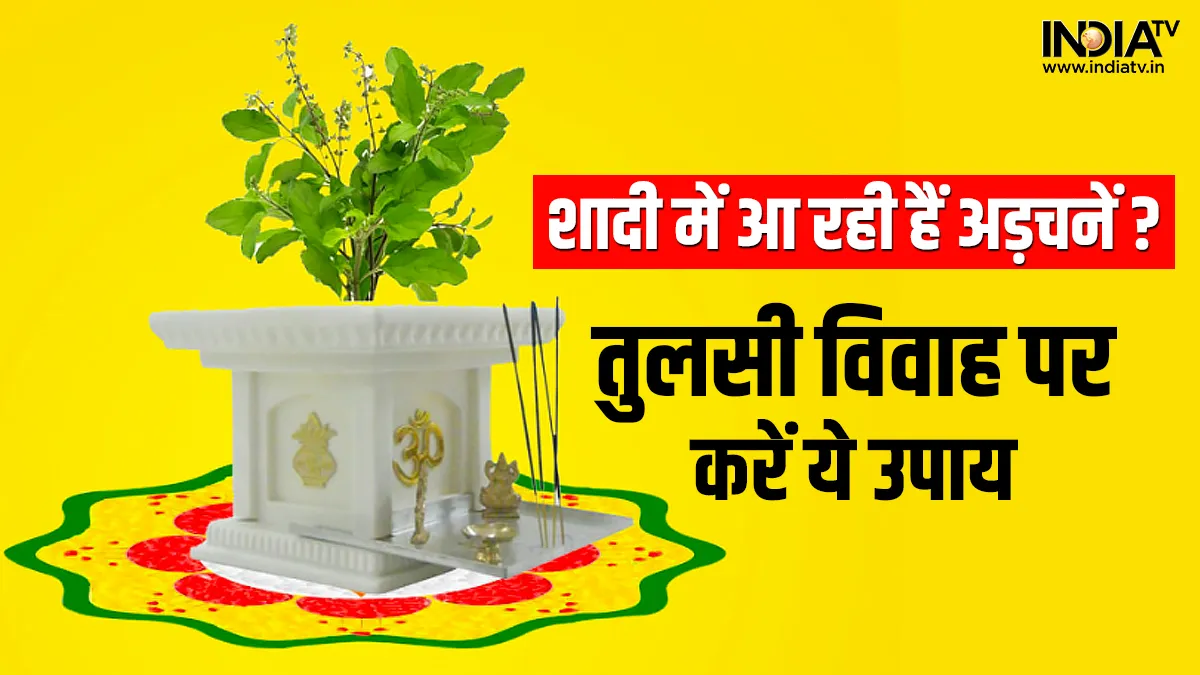 Tulsi Vivah 2022: शादी में आ रही हैं रुकावटें तो तुलसी विवाह के दिन कर लें बस ये उपाय, जल्द बजेंगी शहनाइयां तुलसी विवाह 2022- India TV Hindi