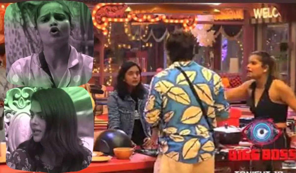 Wild card entry in bigg boss house- India TV Hindi