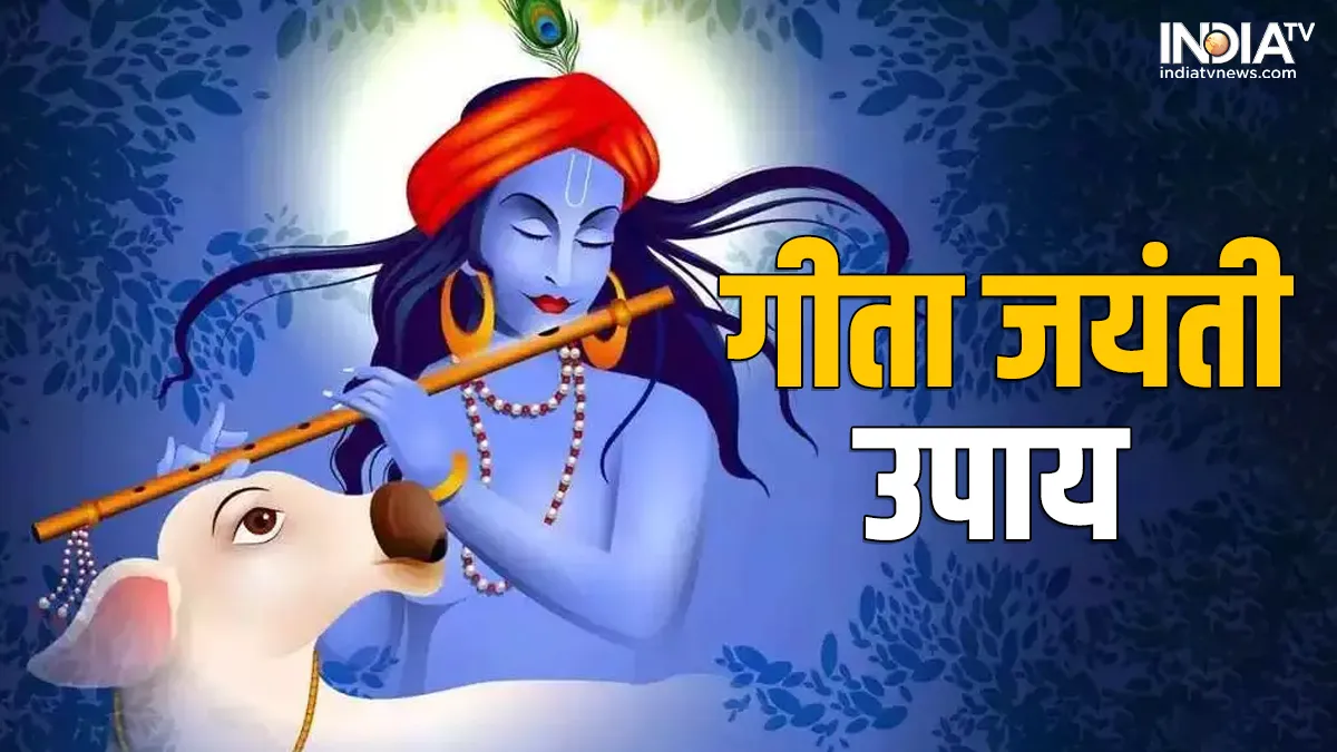 Geeta Jayanti Upay: सुखी दांपत्य जीवन के लिए करें अबीर और कमल गट्टे से जुड़ा ये उपाय, भगवान कृष्णा भर देंगे खुशियों से आपकी झोली गीता जयंती उपाय- India TV Hindi