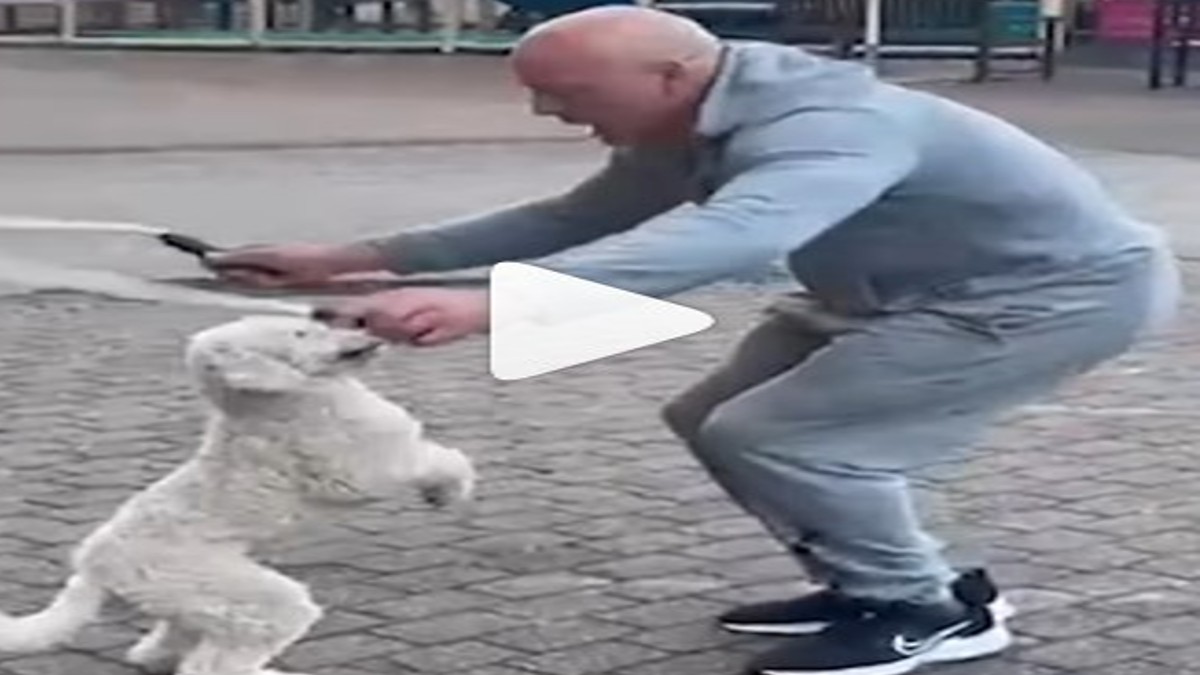 Video Of Dog With World Record For Most Skips On Hind Legs with his