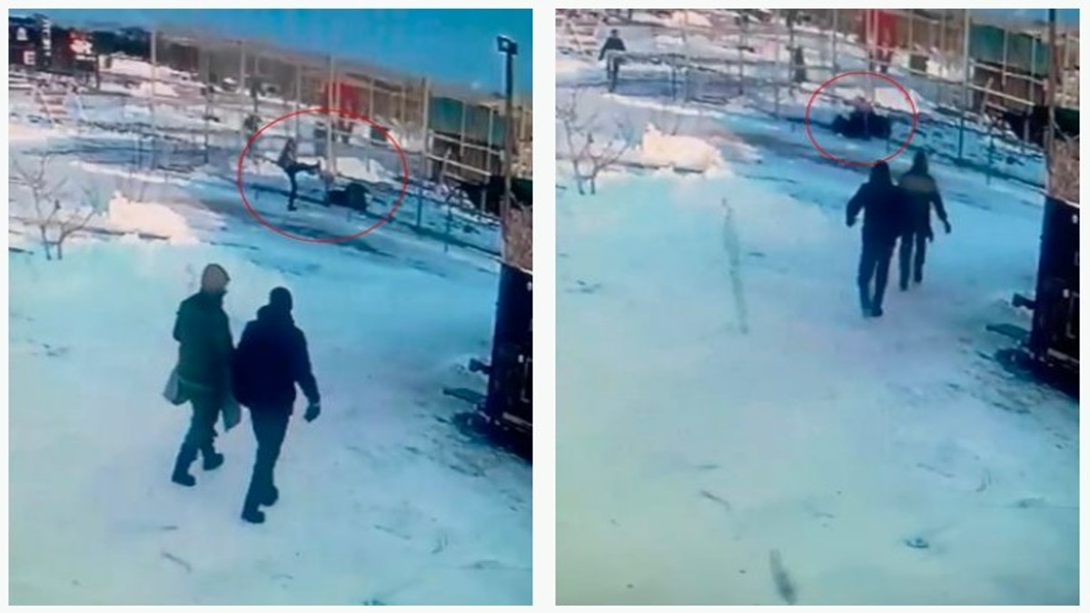 ‘Drunk’ woman mauled by lion after climbing fence at zoo into lions enclosure। नशे में धुत्त महिला शेर के पिंजड़े में कूद गई, फिर जो हुआ सुनकर खड़े हो जाएंगे रोंगटे