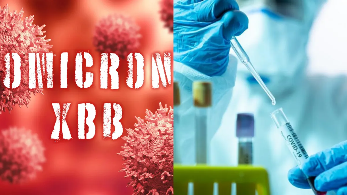 कोरोना के XBB.1.5 और Omicron BF.7 के बीच न हों कंफ्यूज, समझें दोनों का अंतर XBB.1.5 और Omicron BF.7 के बीच क्या है अंतर- India TV Hindi