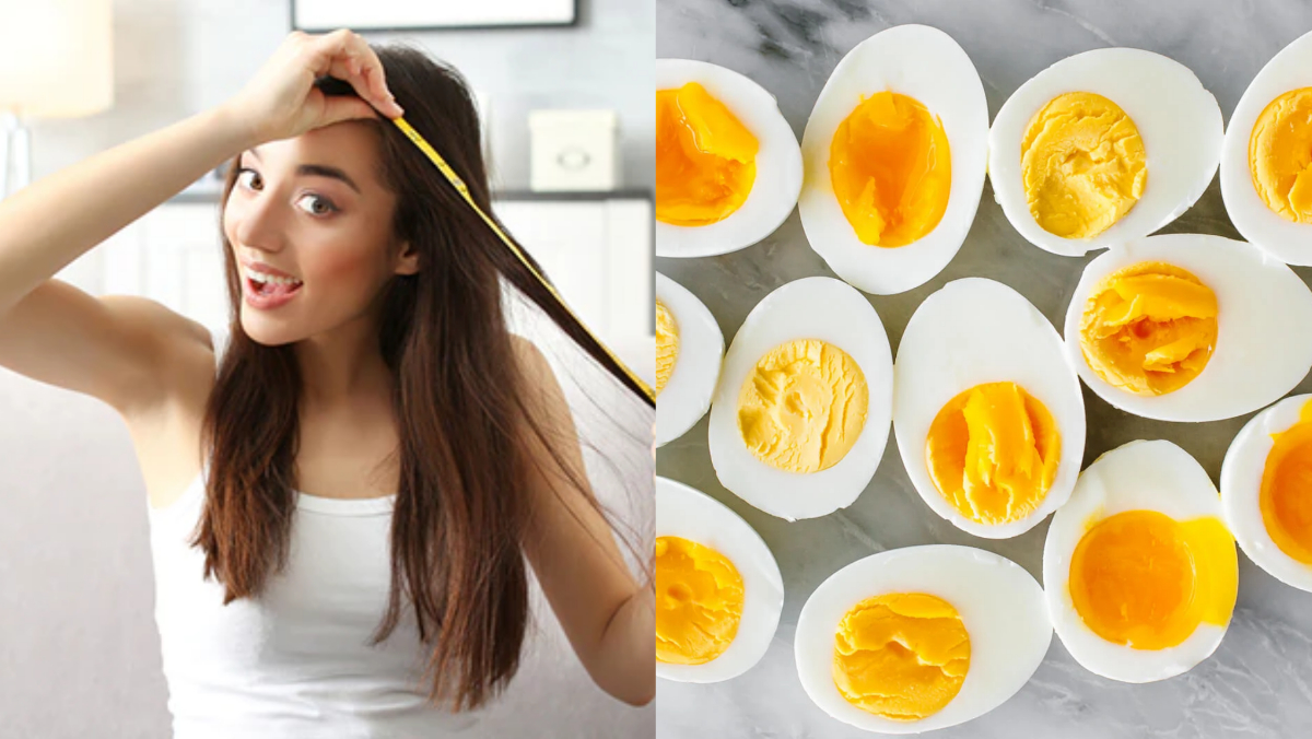 नये बाल उगाने के लिए क्या खाएं? जानें 5 फूड्स | Foods for new hair growth in hindi