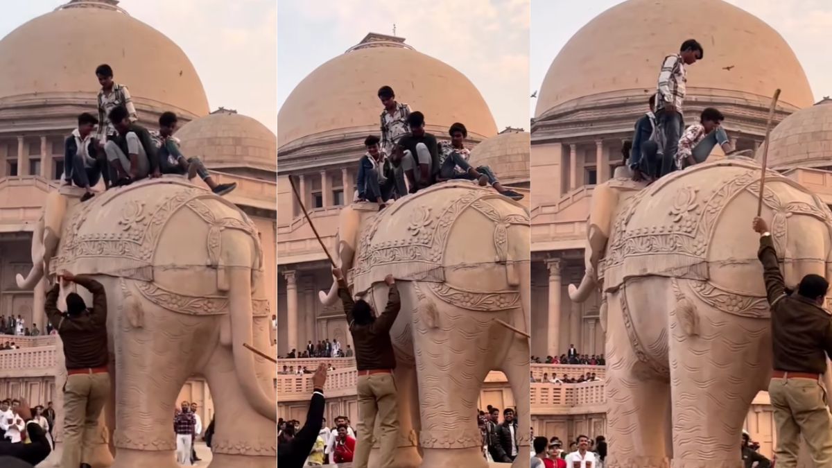 Video of Mayawati Park is fast going viral on social media | ‘पतली कमरिया’ पर वीडियो बनाने के लिए हाथी पर चढ़े थे युवक! मौके पर पुलिस ने घेर लिया, फिर आगे का मामला जानकर हो जाएंगे हैरान