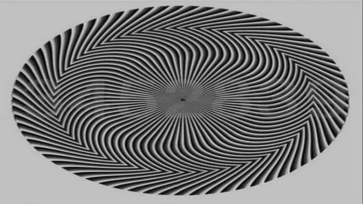 Optical Illusion: This Optical Illusion Reveals Different Sets of ...